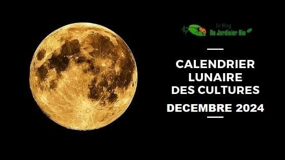 Calendrier lunaire pour jardiner avec la Lune en décembre 2024 - PDF