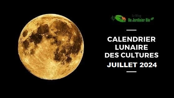 Calendrier lunaire pour jardiner avec la Lune en juillet 2024 - PDF