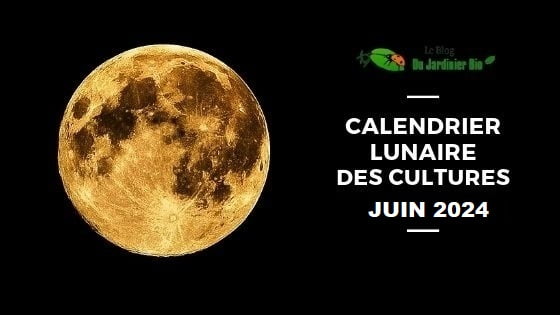 Calendrier lunaire pour jardiner avec la Lune en juin 2024 - PDF