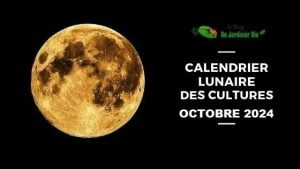 Calendrier lunaire pour jardiner avec la Lune en octobre 2024 - PDF